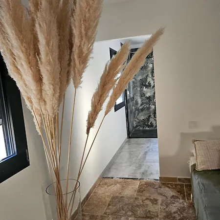 Chez Dino Mollans-sur-Ouvèze