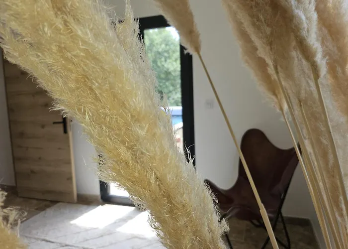 Chez Dino * Mollans-sur-Ouvèze