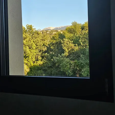 Chez Dino *